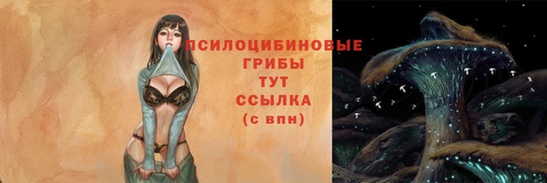 соль ск Бронницы