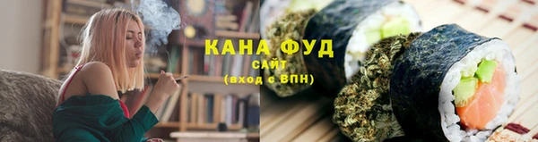 индика Сосновый Бор