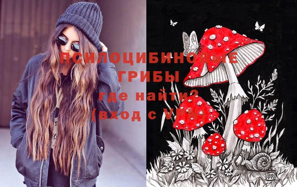 spice Сосновоборск