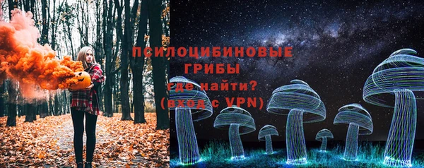 spice Сосновоборск
